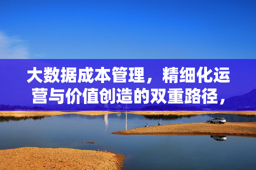 大数据成本管理，精细化运营与价值创造的双重路径，大数据成本管理的双重路径，精细化运营与价值创造