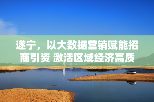 遂宁，以大数据营销赋能招商引资 激活区域经济高质量发展新引擎，遂宁，大数据营销赋能招商引资 激活经济高质量发展新引擎