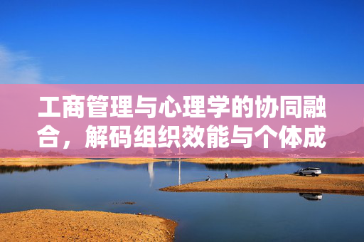 工商管理与心理学的协同融合，解码组织效能与个体成长的密码，工商管理与心理学融合，解码组织效能与个体成长