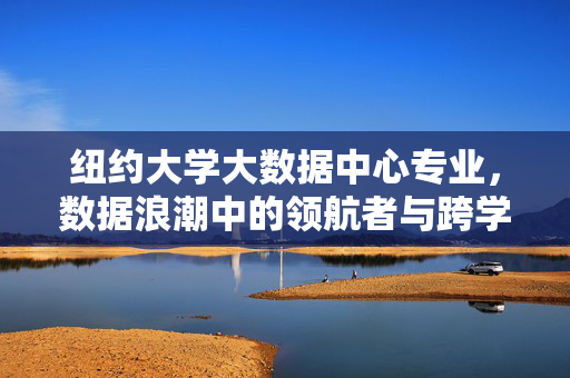 纽约大学大数据中心专业，数据浪潮中的领航者与跨学科创新引擎，纽约大学大数据中心，数据浪潮领航者与跨学科创新引擎