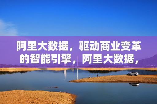 阿里大数据，驱动商业变革的智能引擎，阿里大数据，驱动商业变革的智能引擎