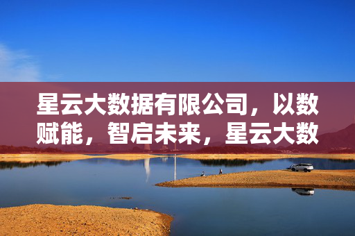 星云大数据有限公司，以数赋能，智启未来，星云大数据，以数赋能智启未来