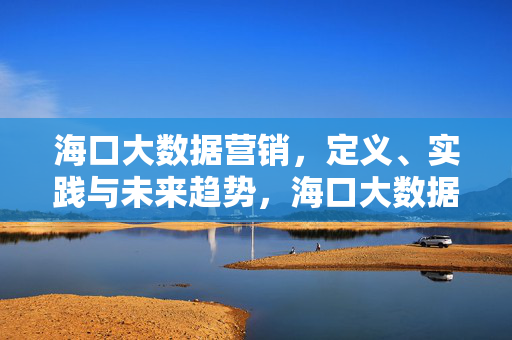 海口大数据营销，定义、实践与未来趋势，海口大数据营销，定义、实践与未来趋势