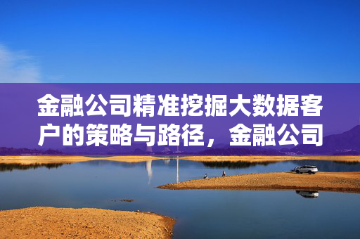 金融公司精准挖掘大数据客户的策略与路径，金融公司精准挖掘大数据客户的策略与路径