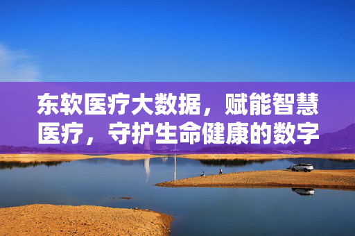 东软医疗大数据，赋能智慧医疗，守护生命健康的数字引擎，东软医疗大数据，赋能智慧医疗的数字生命引擎