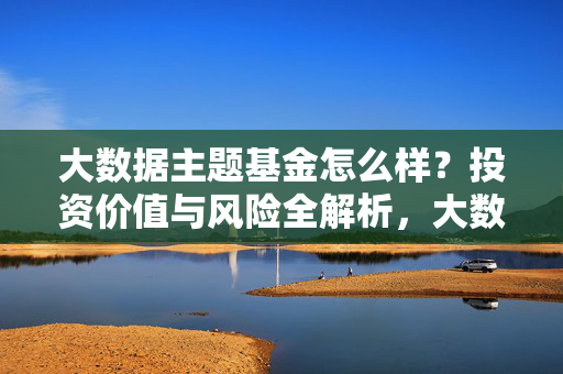 大数据主题基金怎么样？投资价值与风险全解析，大数据主题基金，投资价值与风险全解析