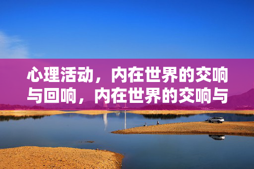 心理活动，内在世界的交响与回响，内在世界的交响与回响