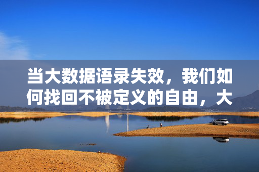 当大数据语录失效，我们如何找回不被定义的自由，大数据定义失效，找回不被定义的自由