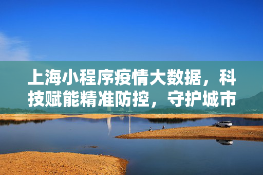 上海小程序疫情大数据，科技赋能精准防控，守护城市生命线，上海科技赋能疫情大数据，精准防控守护城市生命线