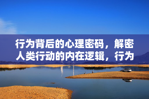 行为背后的心理密码，解密人类行动的内在逻辑，行为密码，解密人类行动的内在逻辑