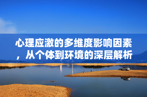 心理应激的多维度影响因素，从个体到环境的深层解析，心理应激的多维度影响因素，个体与环境的深层解析