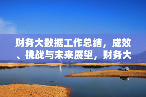 财务大数据工作总结，成效、挑战与未来展望，财务大数据工作总结，成效、挑战与展望