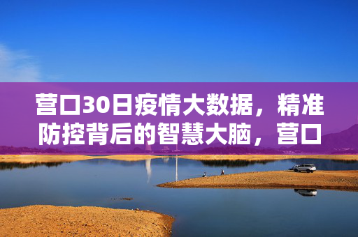 营口30日疫情大数据，精准防控背后的智慧大脑，营口30日疫情大数据，精准防控的智慧大脑
