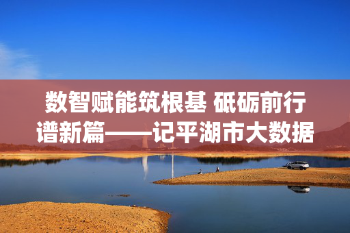 数智赋能筑根基 砥砺前行谱新篇——记平湖市大数据局局长[局长姓名]，数智赋能 砥砺前行——记平湖市大数据局局长[局长姓名]