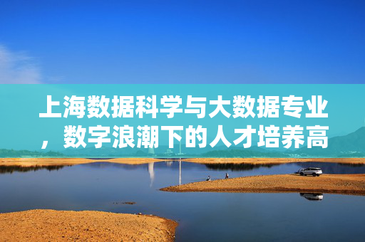 上海数据科学与大数据专业，数字浪潮下的人才培养高地与创新引擎，上海数据科学与大数据专业，数字浪潮下的人才培养高地与创新引擎