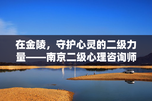 在金陵，守护心灵的二级力量——南京二级心理咨询师的专业与温度，金陵心灵守护者，二级心理咨询师的专业与温度