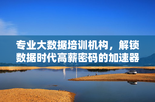 专业大数据培训机构，解锁数据时代高薪密码的加速器，大数据培训，解锁数据时代高薪的加速器