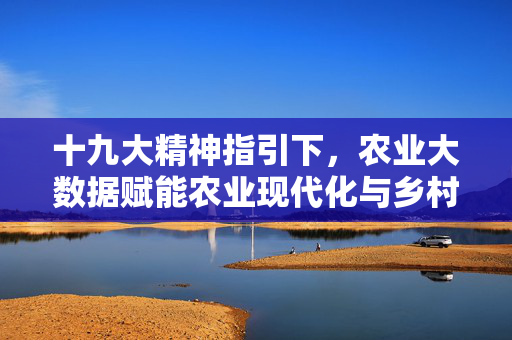 十九大精神指引下，农业大数据赋能农业现代化与乡村振兴，十九大精神指引下农业大数据赋能农业现代化与乡村振兴