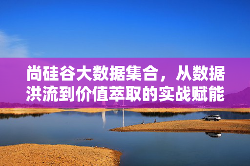 尚硅谷大数据集合，从数据洪流到价值萃取的实战赋能，尚硅谷大数据实战，从数据洪流到价值萃取