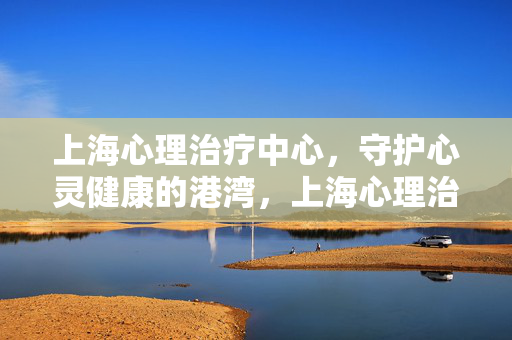 上海心理治疗中心，守护心灵健康的港湾，上海心理治疗中心，守护心灵健康的港湾