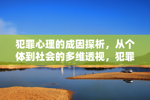 犯罪心理的成因探析，从个体到社会的多维透视，犯罪心理成因的个体-社会多维探析