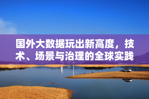 国外大数据玩出新高度，技术、场景与治理的全球实践，国外大数据全球实践，技术、场景与治理的新高度