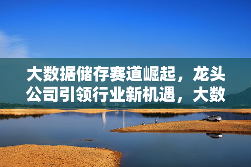 大数据储存赛道崛起，龙头公司引领行业新机遇，大数据储存赛道崛起，龙头公司引领行业新机遇