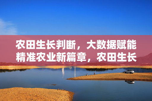 农田生长判断，大数据赋能精准农业新篇章，农田生长判断，大数据赋能精准农业新篇章