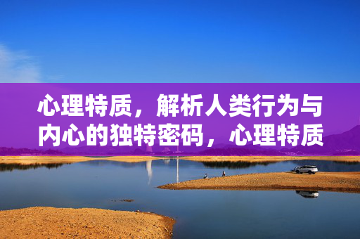 心理特质，解析人类行为与内心的独特密码，心理特质，解码人类行为与内心的独特密码