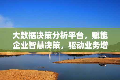 大数据决策分析平台，赋能企业智慧决策，驱动业务增长新引擎，大数据决策分析平台，赋能智慧决策，驱动业务增长新引擎