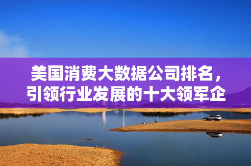 美国消费大数据公司排名，引领行业发展的十大领军企业，美国消费大数据十大领军企业排名