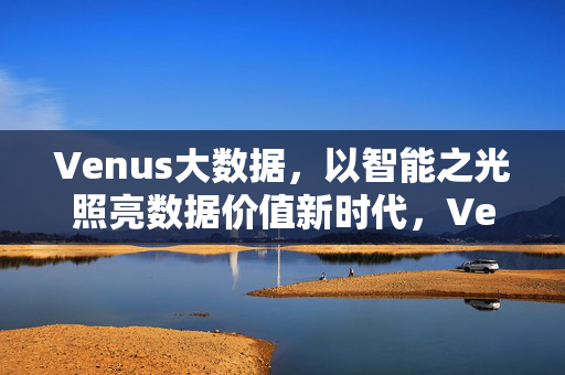 Venus大数据，以智能之光照亮数据价值新时代，Venus大数据，智能之光照亮数据价值新时代