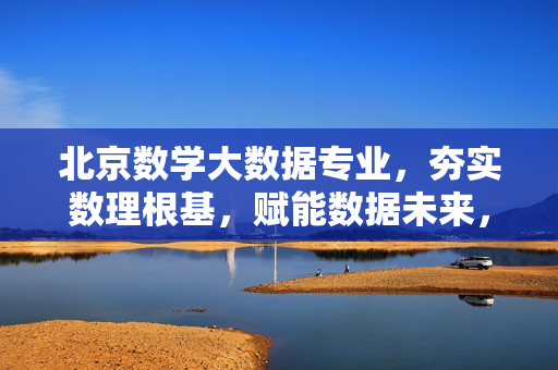 北京数学大数据专业，夯实数理根基，赋能数据未来，北京数学大数据专业，夯实数理根基，赋能数据未来