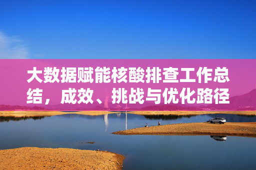 大数据赋能核酸排查工作总结，成效、挑战与优化路径，大数据赋能核酸排查，成效、挑战与优化路径