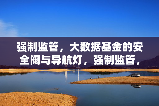 强制监管，大数据基金的安全阀与导航灯，强制监管，大数据基金的安全阀与导航灯