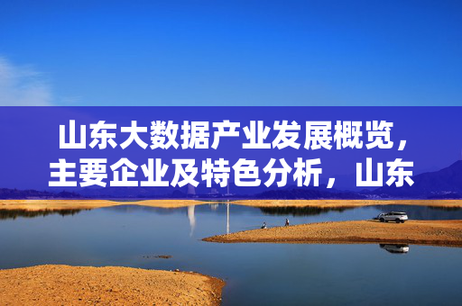 山东大数据产业发展概览，主要企业及特色分析，山东大数据产业发展概览，主要企业及特色分析