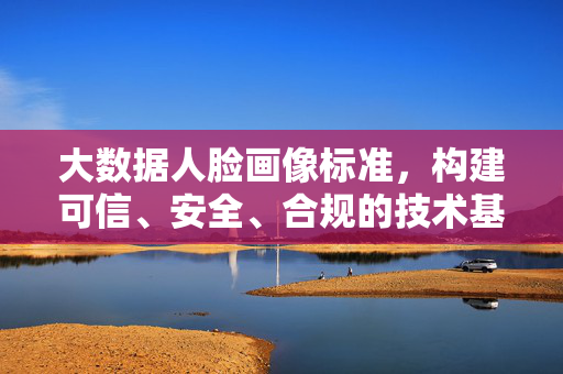 大数据人脸画像标准，构建可信、安全、合规的技术基石，大数据人脸画像标准，铸就可信安全合规技术基石