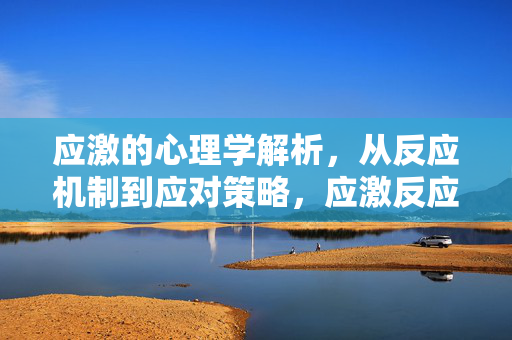 应激的心理学解析，从反应机制到应对策略，应激反应机制与应对策略的心理学解析