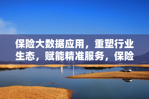 保险大数据应用，重塑行业生态，赋能精准服务，保险大数据，重塑生态，赋能精准服务