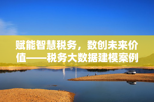 赋能智慧税务，数创未来价值——税务大数据建模案例大赛巡礼，智慧税务·数创未来，税务大数据建模案例大赛巡礼