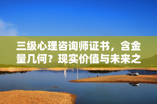 三级心理咨询师证书，含金量几何？现实价值与未来之路解析，三级心理咨询师证书，含金量、现实价值与未来之路