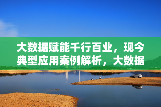 大数据赋能千行百业，现今典型应用案例解析，大数据赋能千行百业，现今典型应用案例解析