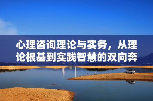 心理咨询理论与实务，从理论根基到实践智慧的双向奔赴，心理咨询理论与实务，理论根基与实践智慧的双向奔赴