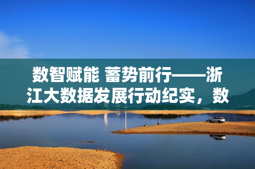 数智赋能 蓄势前行——浙江大数据发展行动纪实，数智赋能 蓄势前行——浙江大数据发展行动纪实