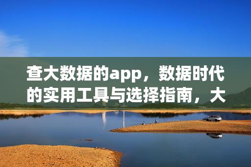 查大数据的app，数据时代的实用工具与选择指南，大数据查询APP，数据时代的实用工具与选择指南