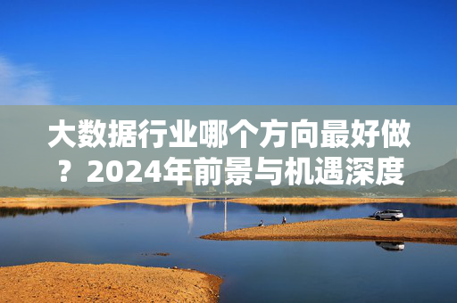 大数据行业哪个方向最好做？2024年前景与机遇深度解析