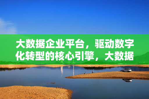 大数据企业平台，驱动数字化转型的核心引擎，大数据企业平台，驱动数字化转型的核心引擎