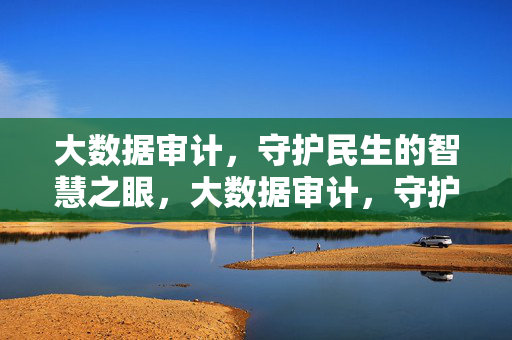 大数据审计，守护民生的智慧之眼，大数据审计，守护民生的智慧之眼