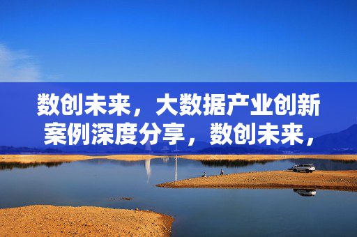 数创未来，大数据产业创新案例深度分享，数创未来，大数据产业创新案例深度分享