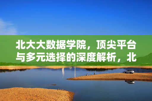 北大大数据学院，顶尖平台与多元选择的深度解析，北大大数据学院，顶尖平台与多元选择深度解析